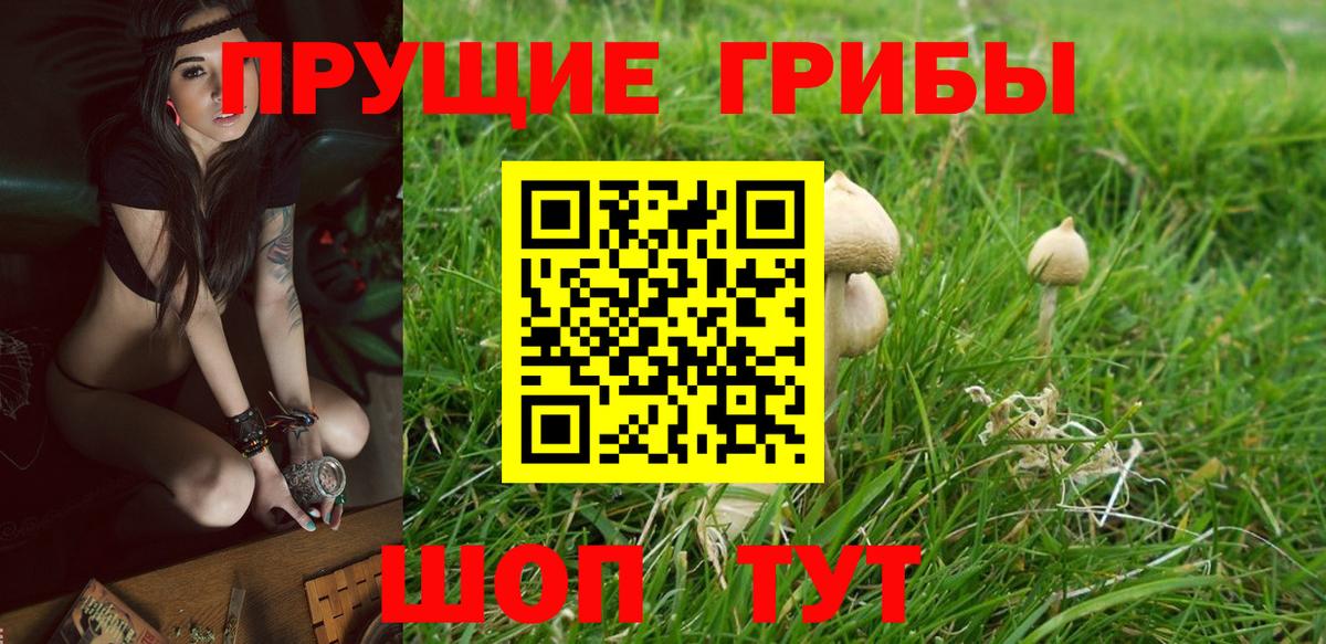 Галлюциногенные грибы GOLDEN TEACHER Назарово